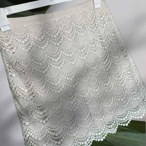 NWT Club Monaco Ivory Scalloped Lace ‘Jayne’ Mini Skirt Size 8 - Picture 7 of 14
